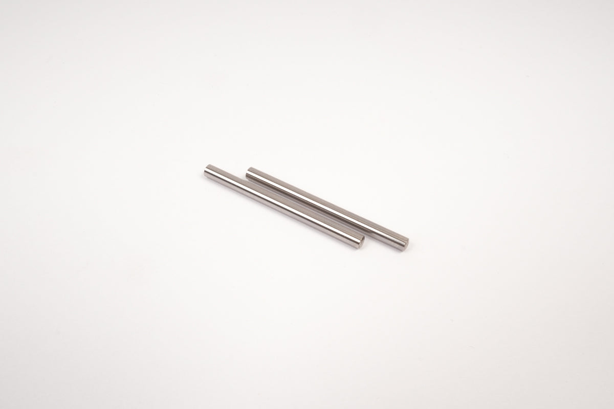 319001S - GT Rear Lower Hub-Wishbone Hinge Pin