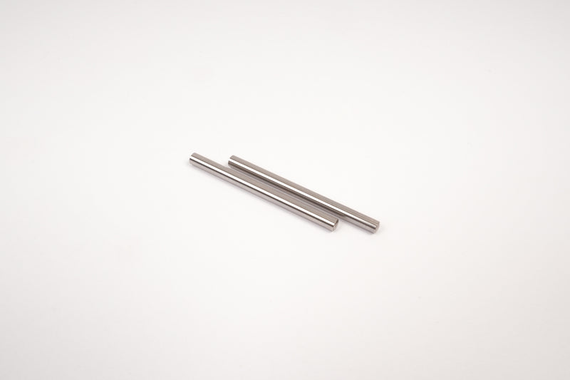 319001S - GT Rear Lower Hub-Wishbone Hinge Pin