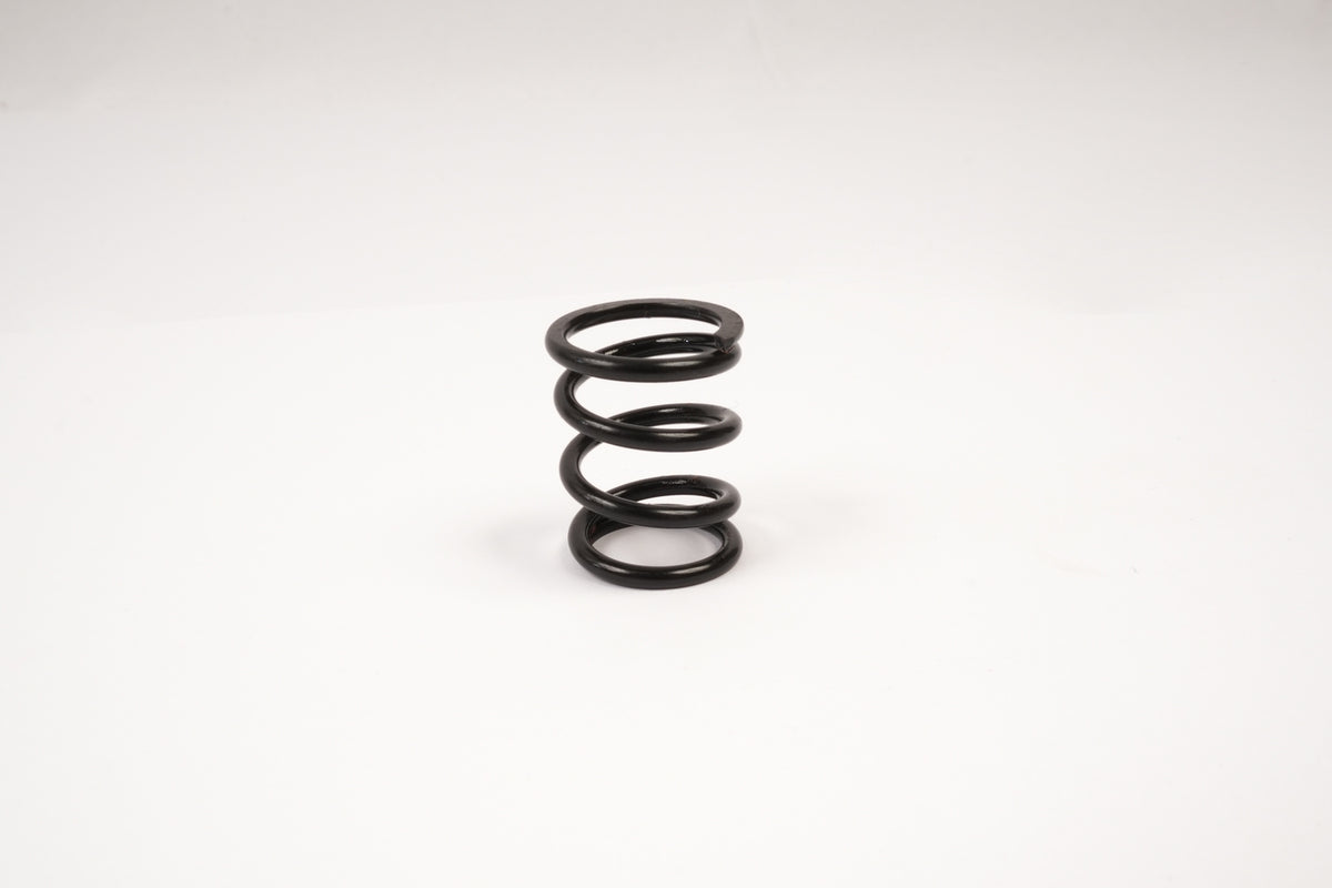 395601S - GT Servo Saver Spring