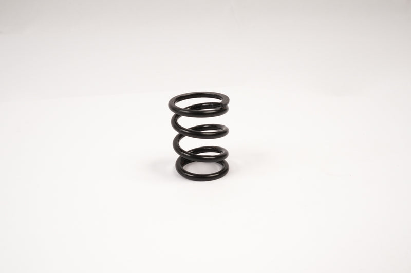 395601S - GT Servo Saver Spring